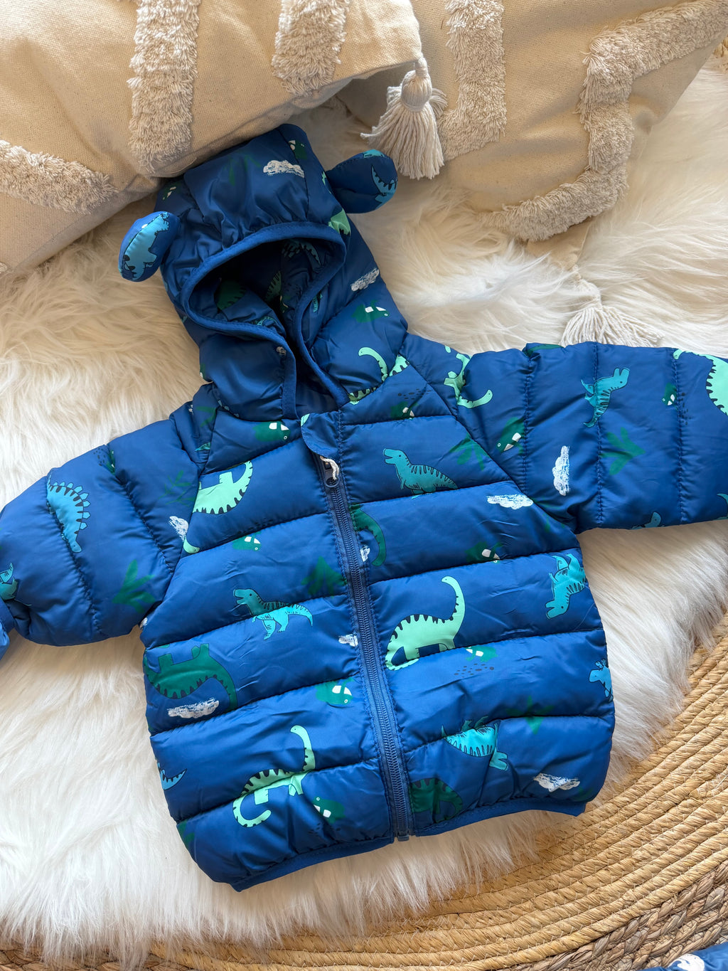 Dino anorak