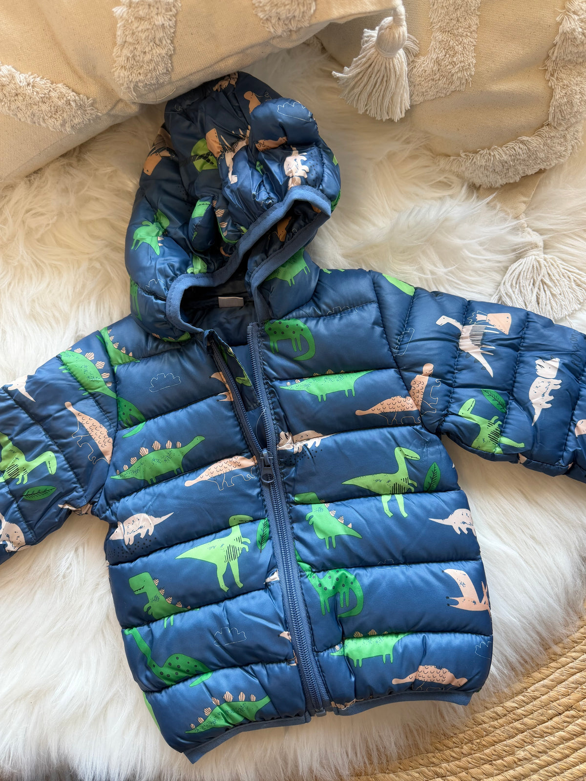 Dino anorak