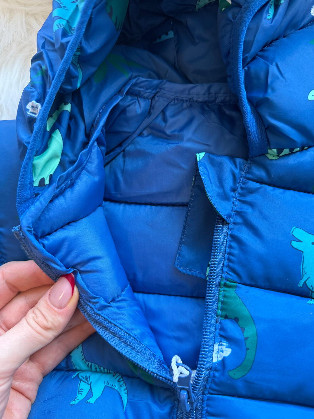 Dino anorak