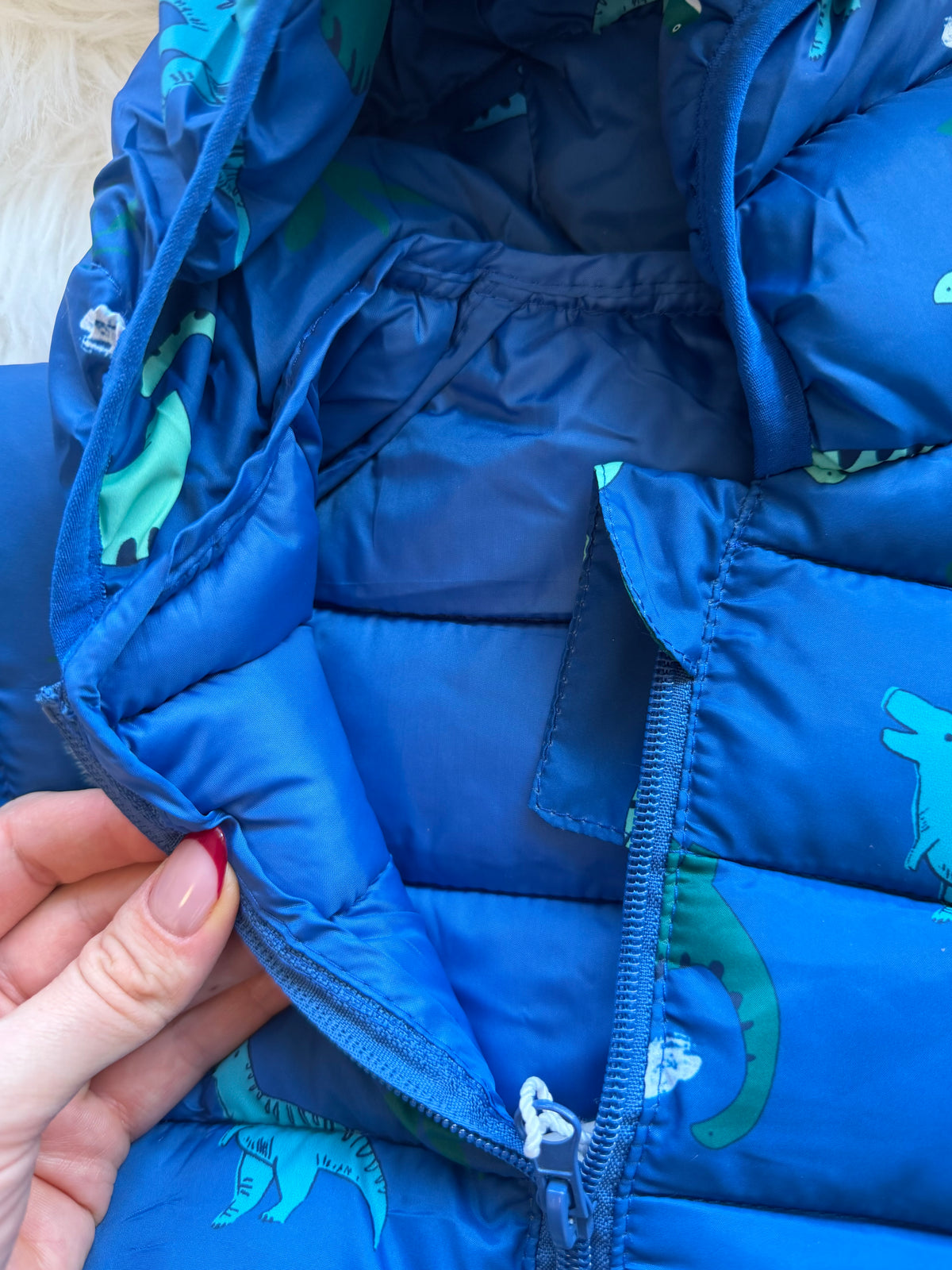 Dino anorak