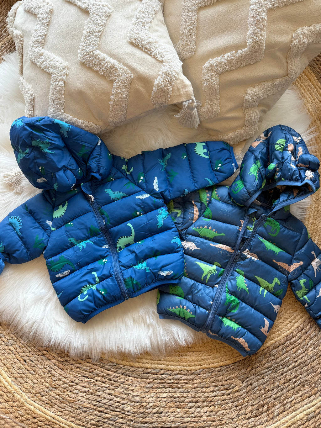 Dino anorak