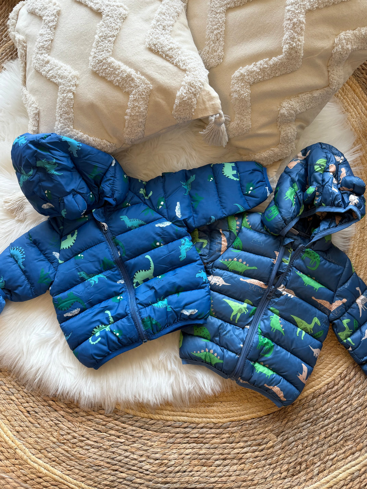 Dino anorak