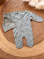 Teddy overall set
