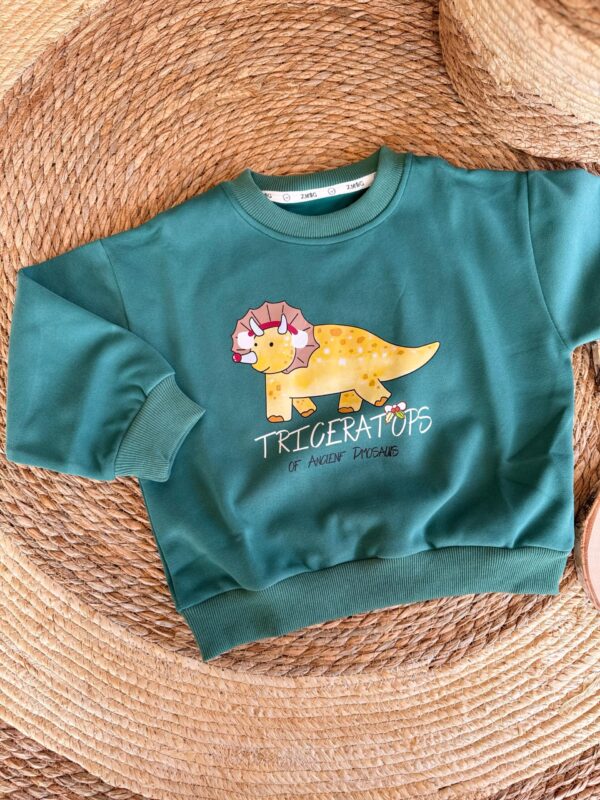Green Dinosaur Sweater