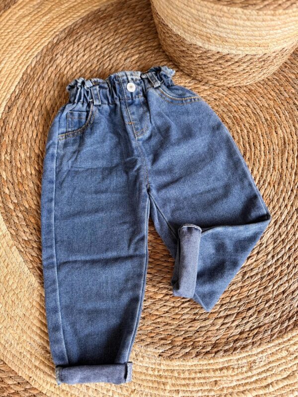 Denim Stylish Pants