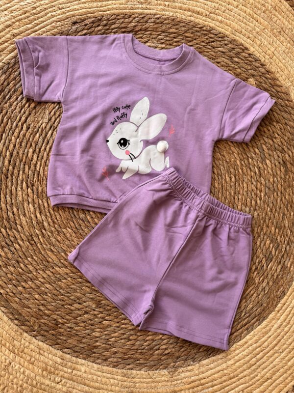 Purple Bunny set